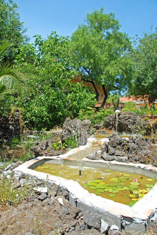Sotto Il Vulcano Nicolosi Exteriér fotografie